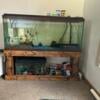 55 gallon fish tank with stand