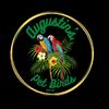 Parrot Breeder of WNY
