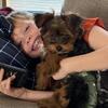 Yorkie-Poo