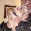 Frenchie girl available