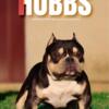 Hobbs-Veneno X Big Boy X Yellow Wolf X Red Bully Days