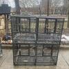 Birds cage