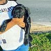 SOLID BLACK MALE CANE CORSO PUP