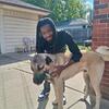 Lsg dog