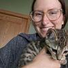 Bengal Kittens - Orange, Snow Sepia and Cool Brown