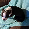 Dazy is for sale!