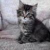 Sweet boy