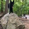 Black GSD OFFERED FOR STUD