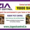 Rodent Control service for school | Hospital | Paying Guest 2056 | Zia Pest Control