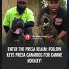 Keys PresasWhen you Buy a pup from us you become Family