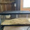 40 gallon tank for sale