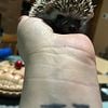 Hedgehog