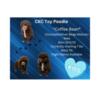 CKC Chocolate/Silver Beige Abstract Toy Poodle