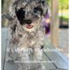 Multigenerational labradoodle puppies