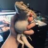 3 year old bearded dragon plus cage and accessories rehoming fee $400