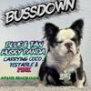 PANDA HUSKY FLUFFY FOR STUD PINK CARRIER!