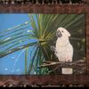 **Cockatoo Love** By Artist ANITA MARTIN 