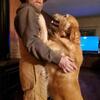 Beautiful AKC Golden Retrievers 