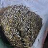 Garden ready rabbit poo fertilizer