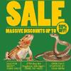 Bearded Dragons, Leopard Geckos, Ball Pythons