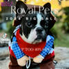 Sale*Sale*Exquisite French Bulldogs* Financing