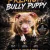 Female bully
