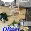 Cat fishing with Oliver