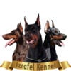 Izrafel Doberman kennel