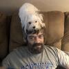 Maltese babies due august 9th