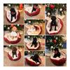 Goldendoodle Puppies – Family Raised & Vet-Checked