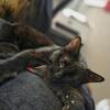Snuggly Boy Needs A Good Home