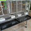 Bird Cage for sale + few extra item give away