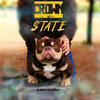 Male bully open for stud