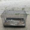 Carry cage for rabbits for anything!