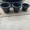 flower pots