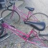 Bikes schwinn
