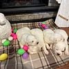 Great Pyrenees puppies