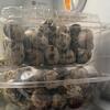 Coturnix Quails and eggs for sale
