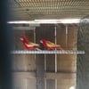 Rosellas Robeno Pair