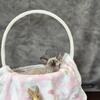 Devon Rex Kitten- female in Florida