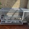 chicken cage easy maintain $80 only Michigan/Detroit