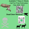 Wildlife Carcass removal