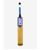 ZAP Cricket is a global company.