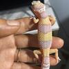 Leopard geckos