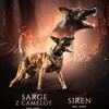 Dutch shepherd puppies 