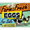 Fresh Brown Eggs. $3.00/Dozen; $4 for an 18 pack; $5:00 for two dozen