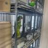 Proven pair of  Alexandrine