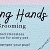 EXPERIENCED Dog Grooming. (HAMMOND, INDIANA AREA)