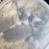 ASF Rats - African Soft Fur Rats