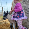 Nigerian dwarf and alpine kids